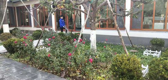 重山思沃瑞組織綠化活動