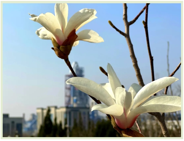 【重山春韻】來重山 上春山
