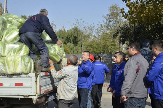 魯中水泥黨支部愛心善舉 ——幫助菜農解決7500斤滯銷大白菜
