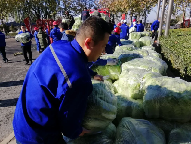 魯中水泥愛心助農解民憂